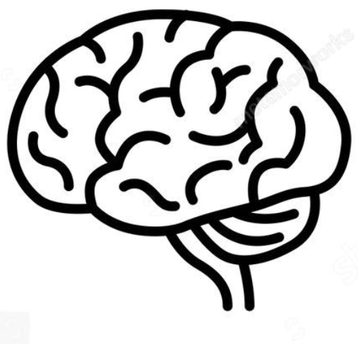 Diffusion MRI