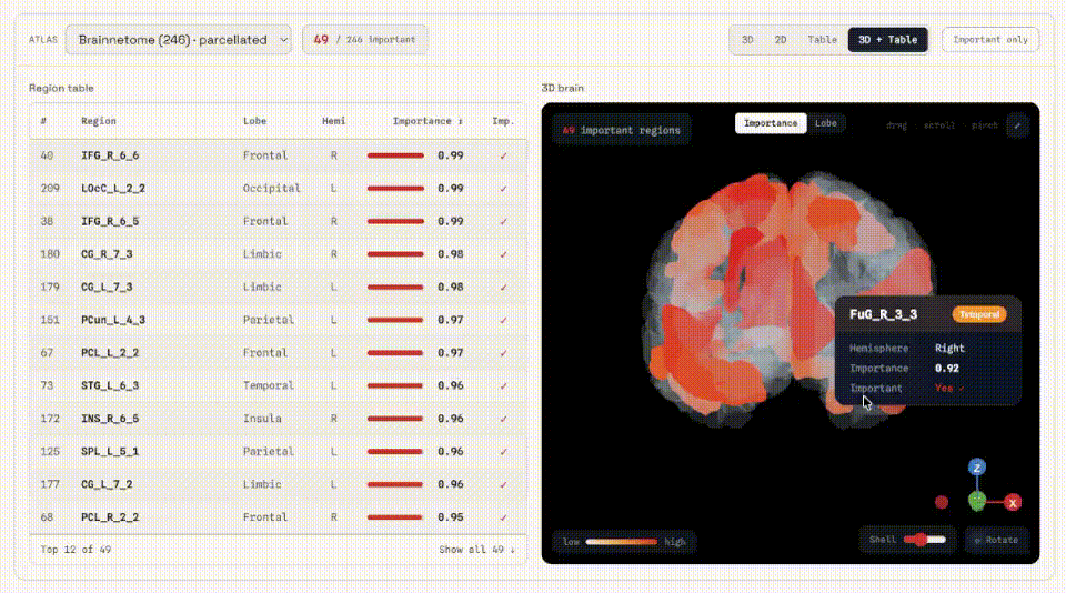 Website demo: region table and 3D brain coloured by importance